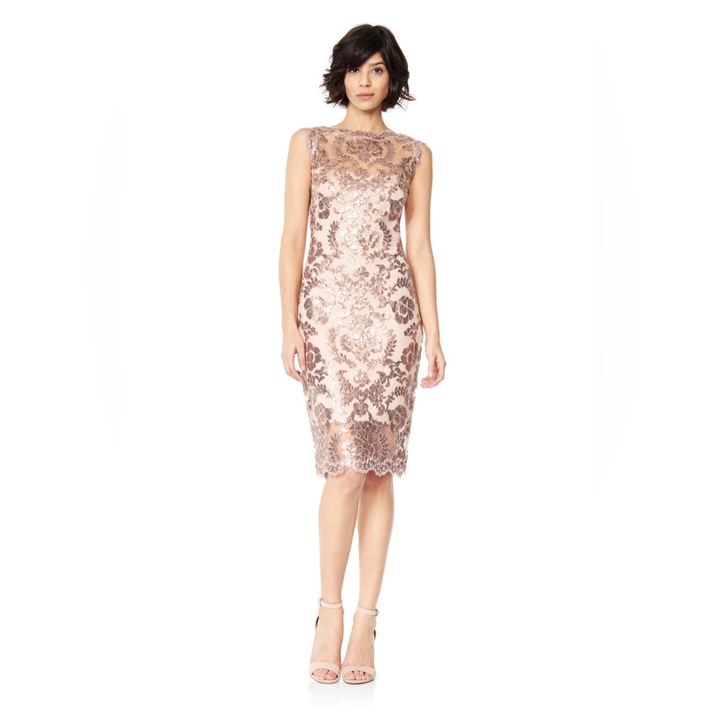 TADASHI SHOJI PAILLETTE EMBROIDERED LACE SHEATH DRESS SIZE 12